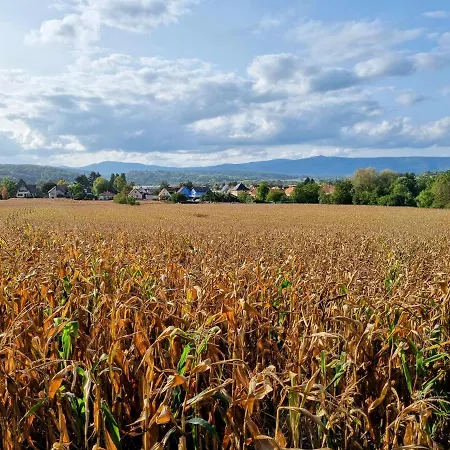 Cosy Bretzel Apartment