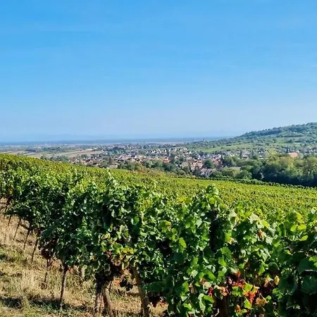 Cosy Bretzel Apartment Gresswiller