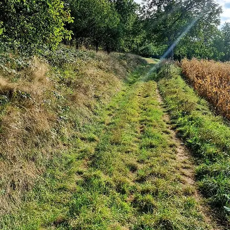 Apartment Cosy Bretzel Gresswiller