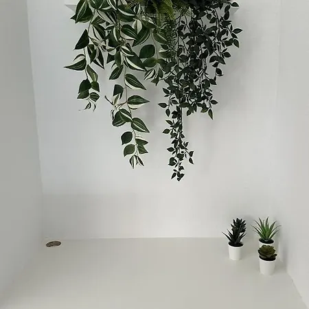 Cosy Bretzel Apartment *
